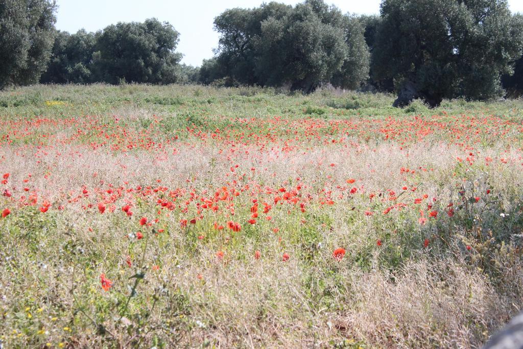 Masseria Valente Ostuni Exterior photo