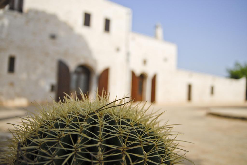 Masseria Valente Ostuni Room photo